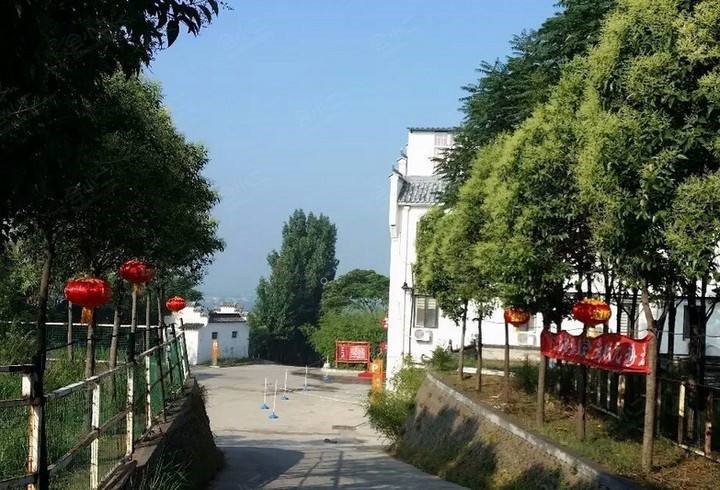 鄭州櫻桃溝紅櫻桃莊園